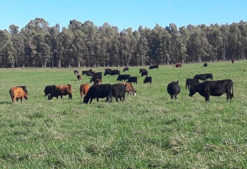 Hotel Estancia Renacimiento