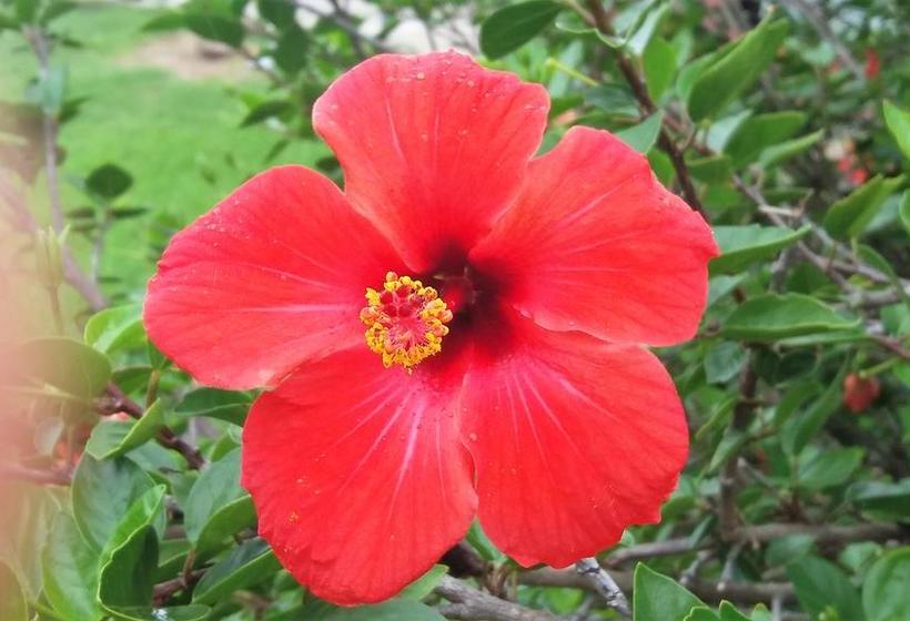 Hôtel Estancia Renacimiento | Atlantida | Canelones | Uruguay 10