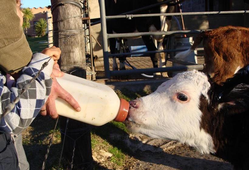 Hôtel Estancia Renacimiento | Atlantida | Canelones | Uruguay 19