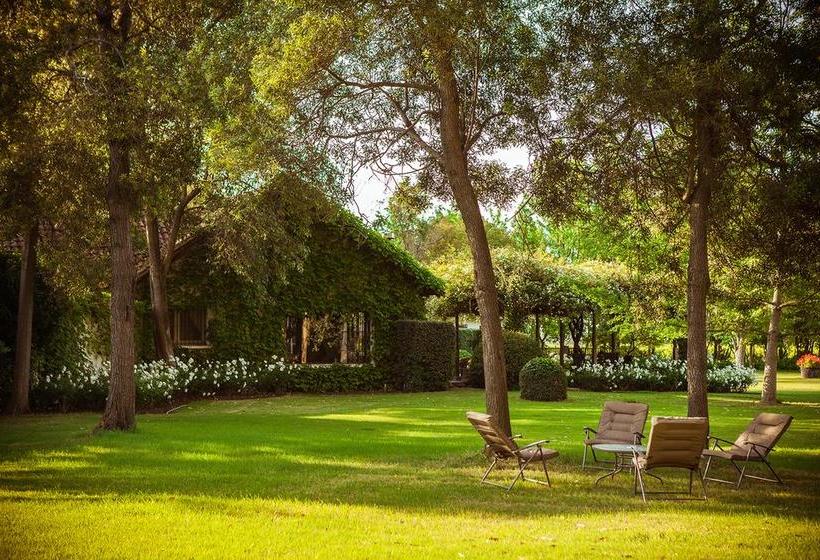 Bed and Breakfast Las Garzas