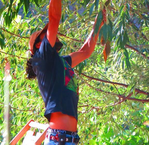 Hotel Molino Machu Picchu Peru | Ollantaytambo | Urubamba | Perú 17