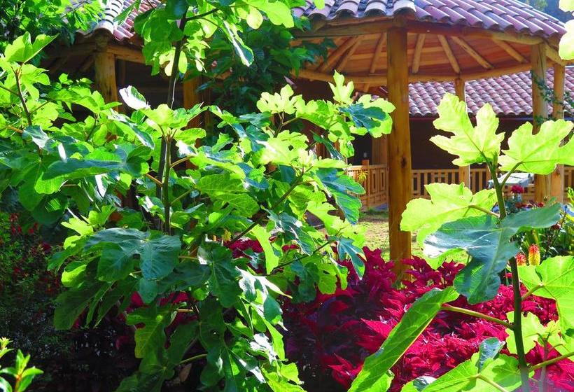 Hotel Molino Machu Picchu Peru | Ollantaytambo | Urubamba | Perú 5