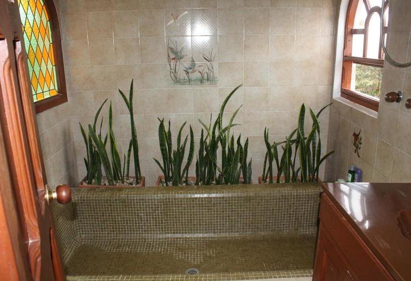 Bed and Breakfast Hacienda El Pinar Villa De Leyva | Villa de Leyva | Boyaca | Colombia 14