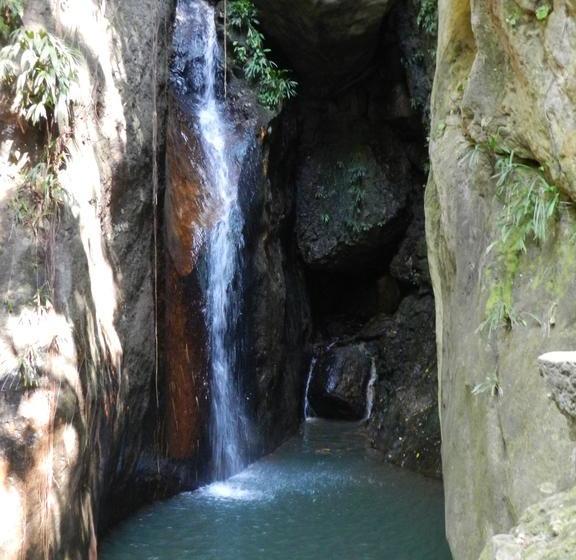 Eco Hotel El Reposo | Melgar | Tolima | Colombia 19