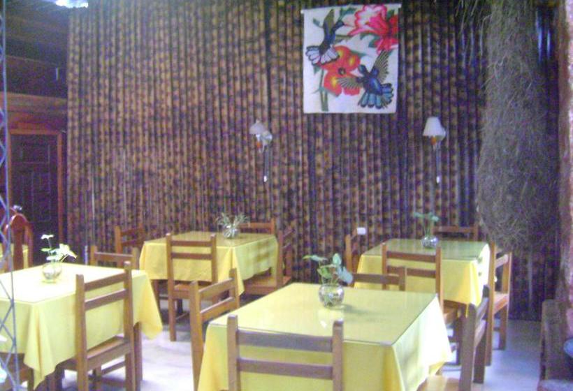 Albergue Hostal El Colibri | Puyo | Pastaza | Ecuador 13