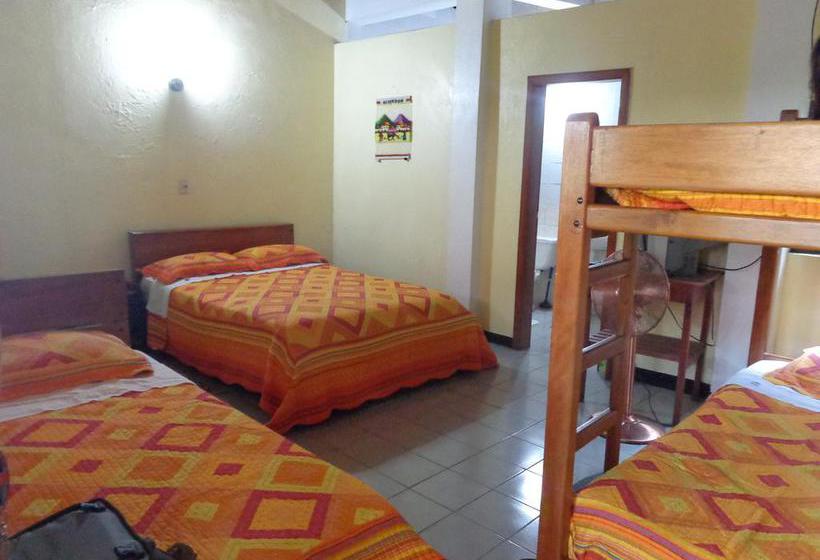 Albergue Hostal El Colibri | Puyo | Pastaza | Ecuador 6