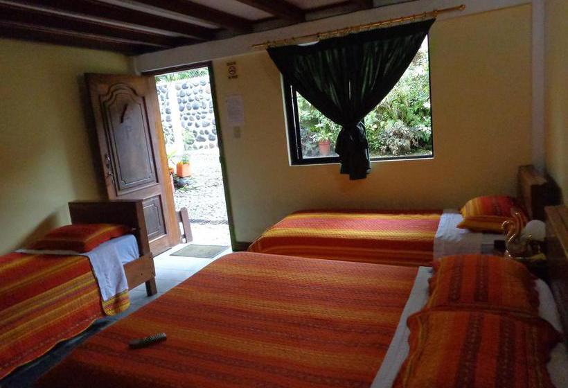 Albergue Hostal El Colibri | Puyo | Pastaza | Ecuador 7