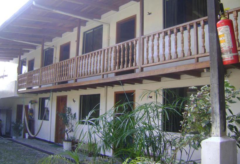 Albergue Hostal El Colibri | Puyo | Pastaza | Ecuador 9
