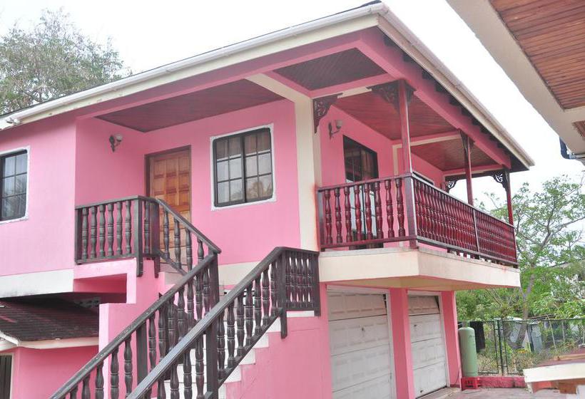 Bed and Breakfast Posada Seven Colours Ocean | Providencia | San Andres y Providencia | Colombia 20