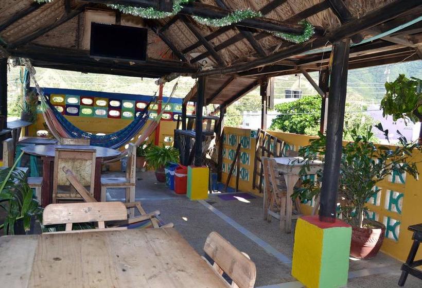 Albergue Oso Perezoso Taganga