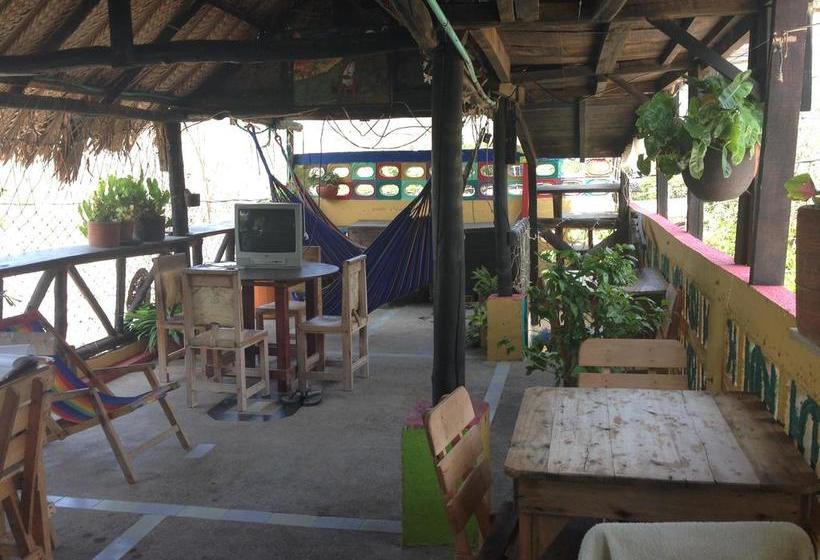 Albergue Oso Perezoso | Taganga | Magdalena | Colombia 10