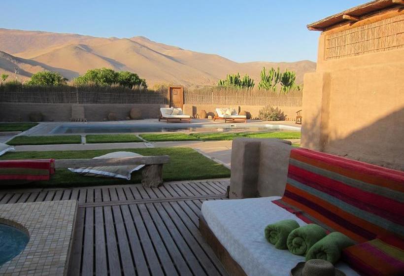 Hotel Wara | Copiapó | Atacama | Chile 12