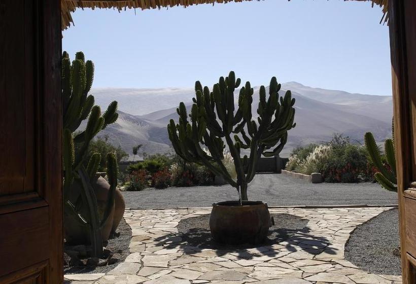 Hotel Wara | Copiapó | Atacama | Chile 18