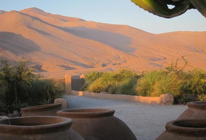 Hotel Wara | Copiapó | Atacama | Chile 9