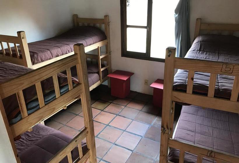 El Indio Hostel | Punta del Diablo | Rocha | Uruguay 3