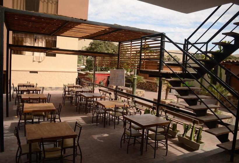 Hotel Casa De Arena Lodge | Ica | Ica | Perú 6