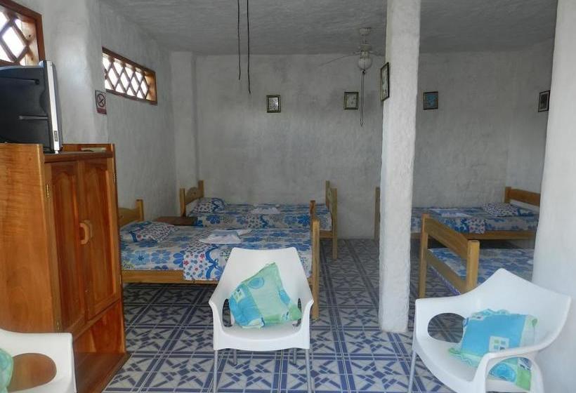 Bed and Breakfast Penguin Guest House | Puerto Ayora | Galápagos | Ecuador 10