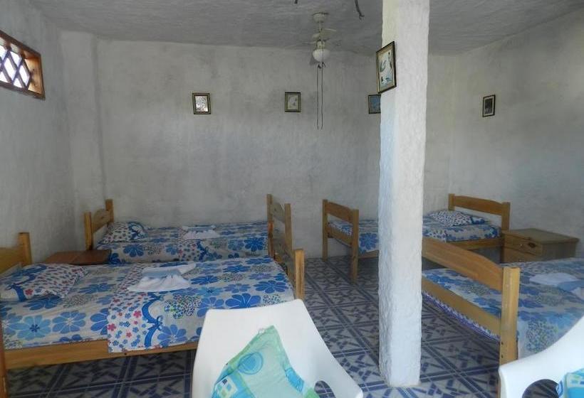 Bed and Breakfast Penguin Guest House | Puerto Ayora | Galápagos | Ecuador 11