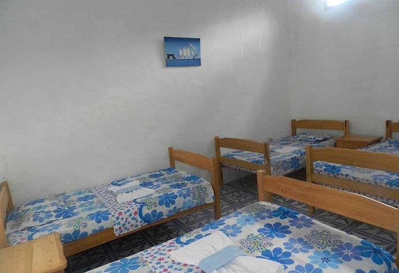 Bed and Breakfast Penguin Guest House | Puerto Ayora | Galápagos | Ecuador 13