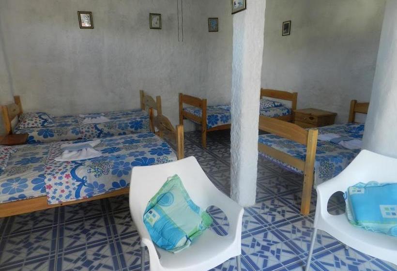 Bed and Breakfast Penguin Guest House | Puerto Ayora | Galápagos | Ecuador 14