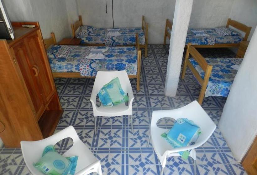 Bed and Breakfast Penguin Guest House | Puerto Ayora | Galápagos | Ecuador 15