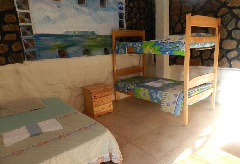 Bed and Breakfast Penguin Guest House | Puerto Ayora | Galápagos | Ecuador 16