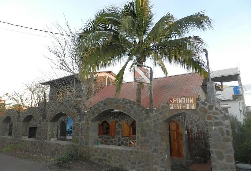 Bed and Breakfast Penguin Guest House | Puerto Ayora | Galápagos | Ecuador 2