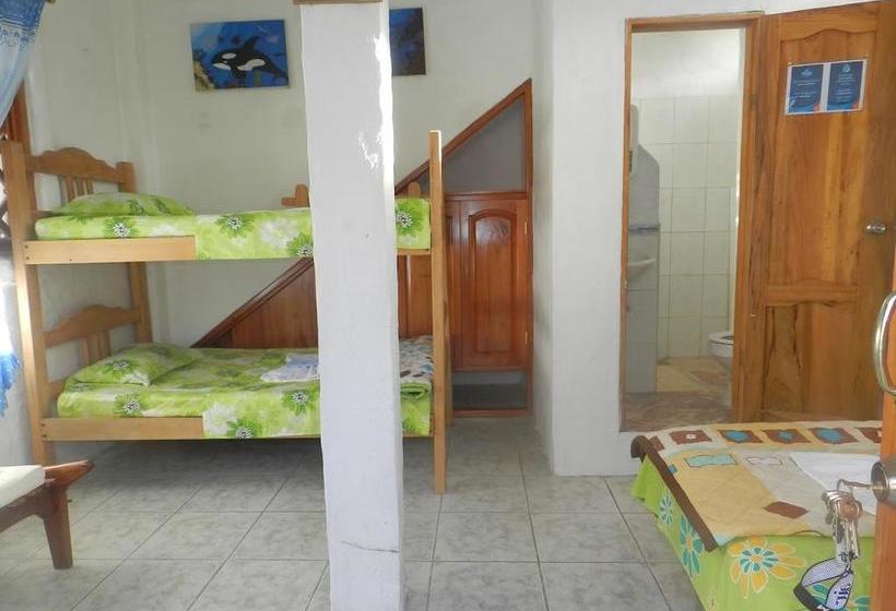 Bed and Breakfast Penguin Guest House | Puerto Ayora | Galápagos | Ecuador 20