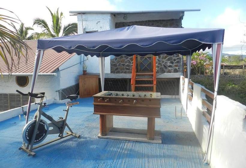 Bed and Breakfast Penguin Guest House | Puerto Ayora | Galápagos | Ecuador 3