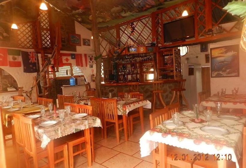 Bed and Breakfast Penguin Guest House | Puerto Ayora | Galápagos | Ecuador 5