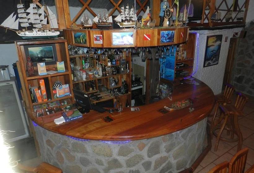 Bed and Breakfast Penguin Guest House | Puerto Ayora | Galápagos | Ecuador 6