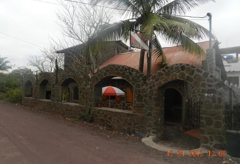 Bed and Breakfast Penguin Guest House | Puerto Ayora | Galápagos | Ecuador 9