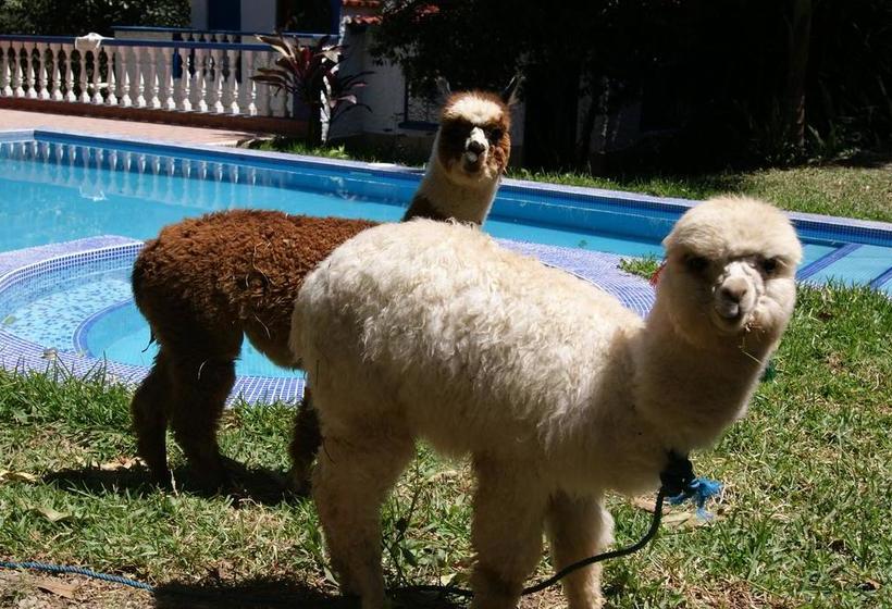 Hotel Cabañas Paradise | Chulumani | Bolivia | América del Sur 12