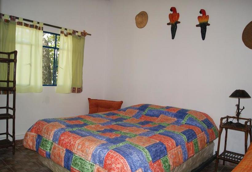 Hotel Cabañas Paradise | Chulumani | Bolivia | América del Sur 2