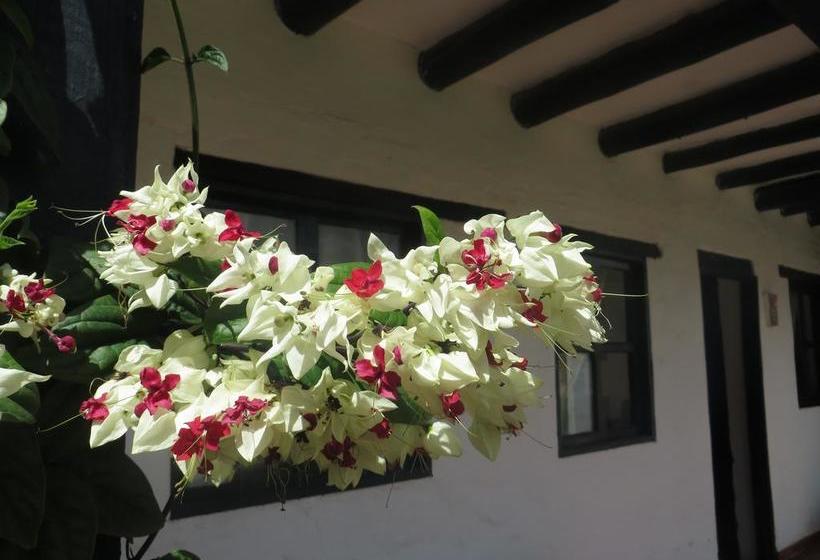 Hotel Los Aceitunos | Villa de Leyva | Boyaca | Colombia 5