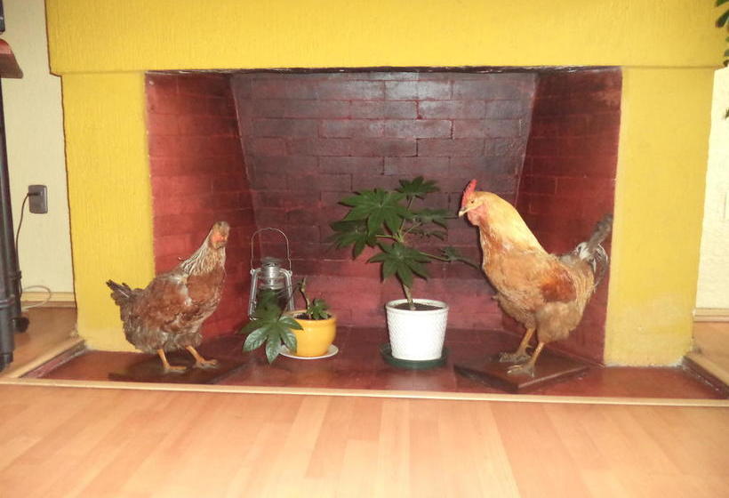 Hotel Almeria | Temuco | Araucanía | Chile 11