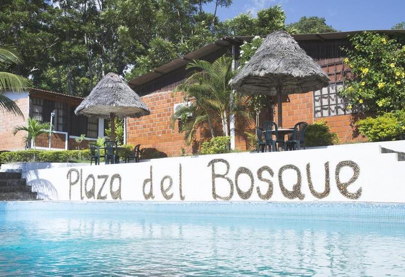 Albergue Plaza Del Bosque | Tarapoto | San Martín | Perú 12
