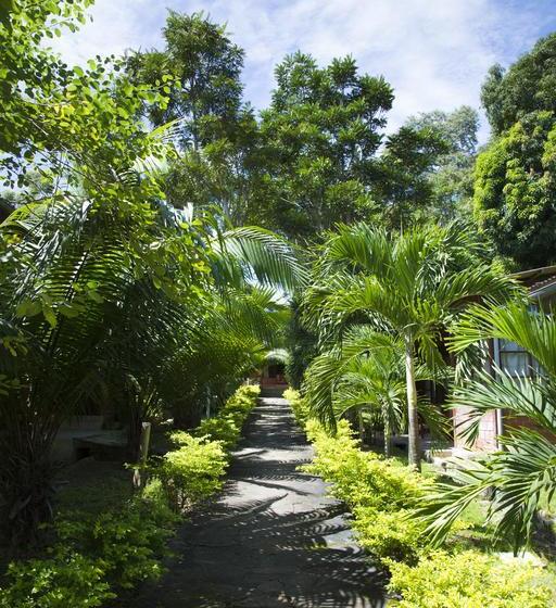 Albergue Plaza Del Bosque | Tarapoto | San Martín | Perú 18