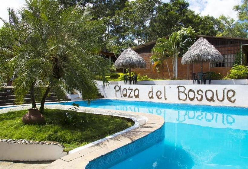 Albergue Plaza Del Bosque | Tarapoto | San Martín | Perú 2