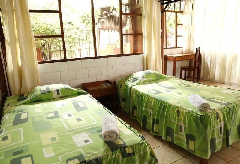 Albergue Plaza Del Bosque | Tarapoto | San Martín | Perú 8