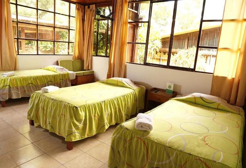 Albergue Plaza Del Bosque | Tarapoto | San Martín | Perú 9