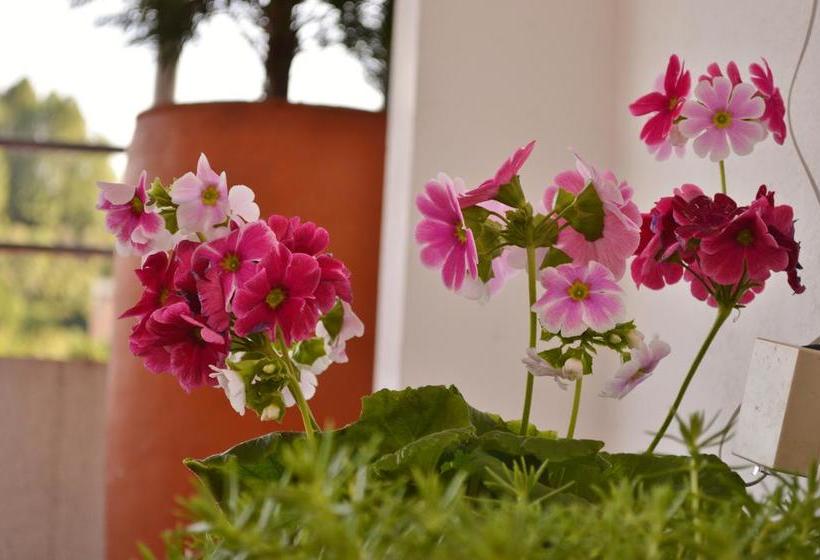 Hotel Guatatur | Guatapé | Antioquia | Colombia 18