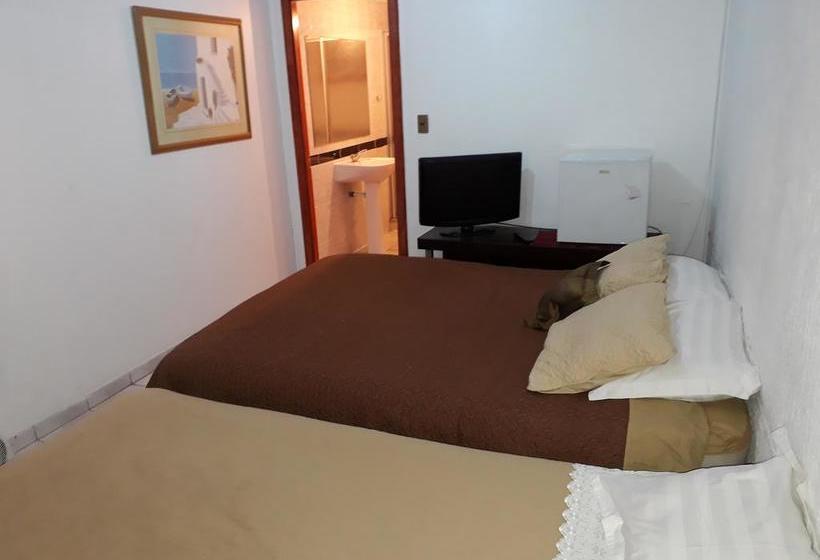 Travel International Hostel Café | Viña del Mar | Valparaiso | Chile 1