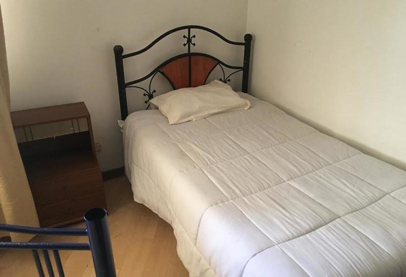 Travel International Hostel Café | Viña del Mar | Valparaiso | Chile 6