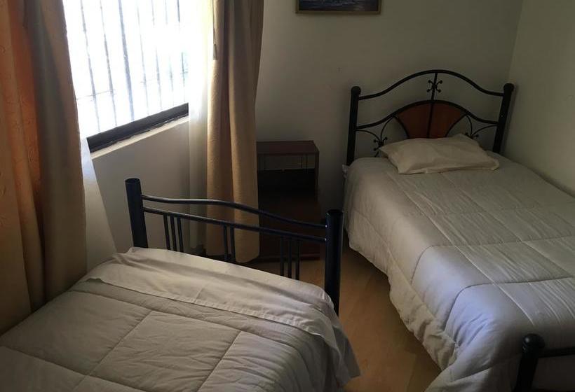 Travel International Hostel Café | Viña del Mar | Valparaiso | Chile 7