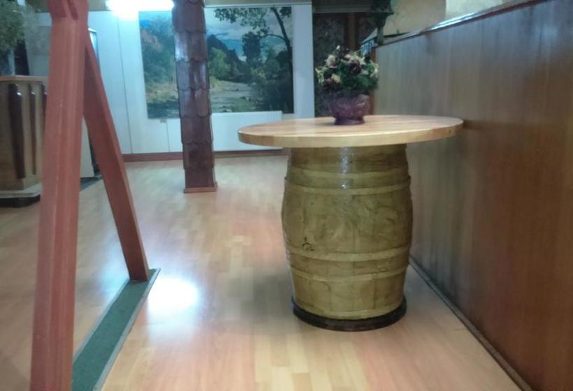 Hotel Alerce Nativo | Castro | Los Lagos | Chile 10