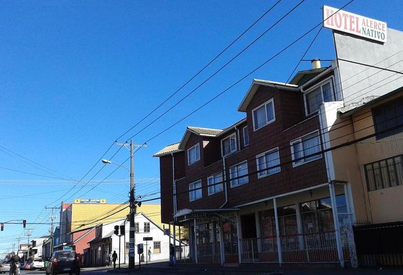 Hotel Alerce Nativo | Castro | Los Lagos | Chile 4