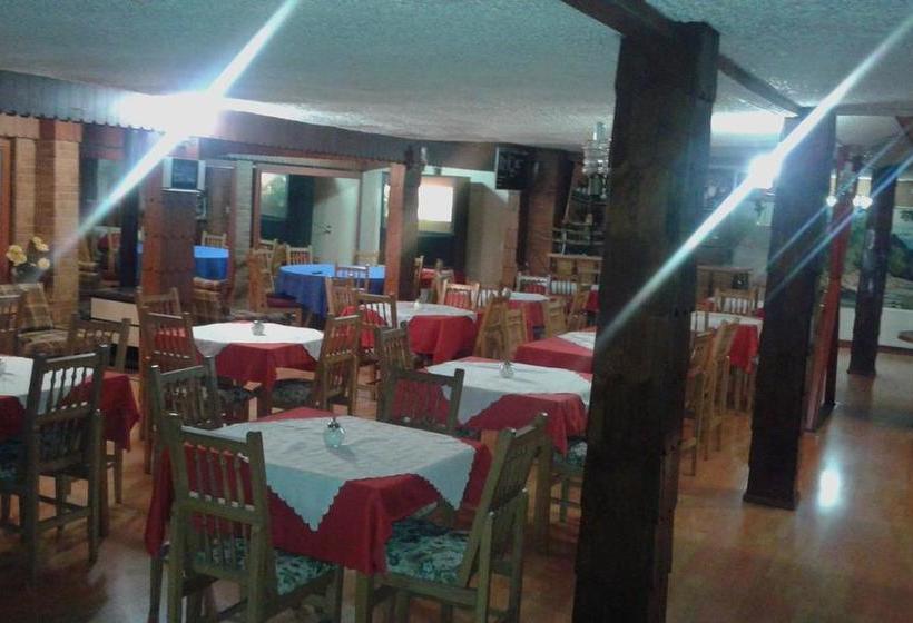 Hotel Alerce Nativo | Castro | Los Lagos | Chile 9