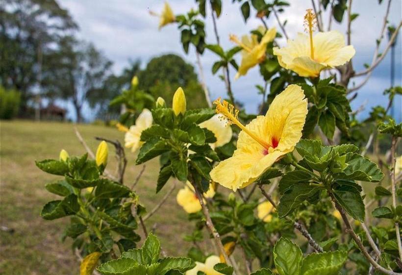 Hotel Arrayanes Del Quindío | Montenegro | Quindío | Colombia 20