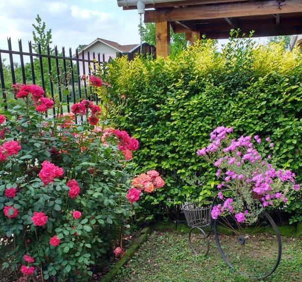 Bed and Breakfast Bed&Breakfast Casa Roble Añejo | Santa Cruz | O'Higgins | Chile 14